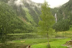 Alltagsklassiker & Sportwagenausfahrt Bild 11