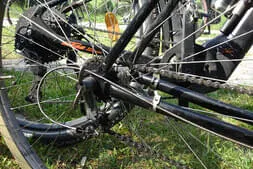 Stoaberg-Roas Bild 5
