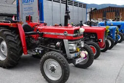 Bauernherbst-Dorfest Maishofen Bild 27