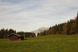 Bratl-essn-geh Bild 16
