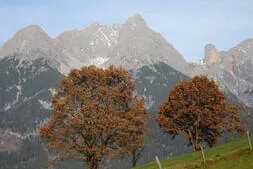 Bratl-essn-geh Bild 20